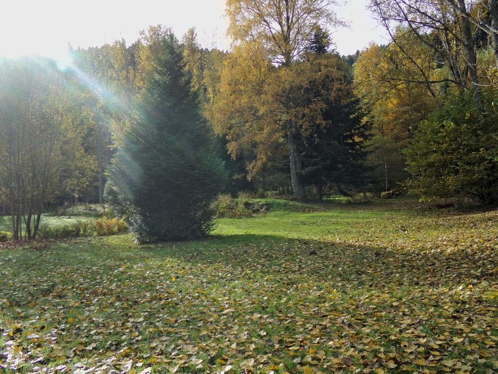 Hotel-Spa & Restaurant Logis Domaine Langmatt Murbach Dış mekan fotoğraf