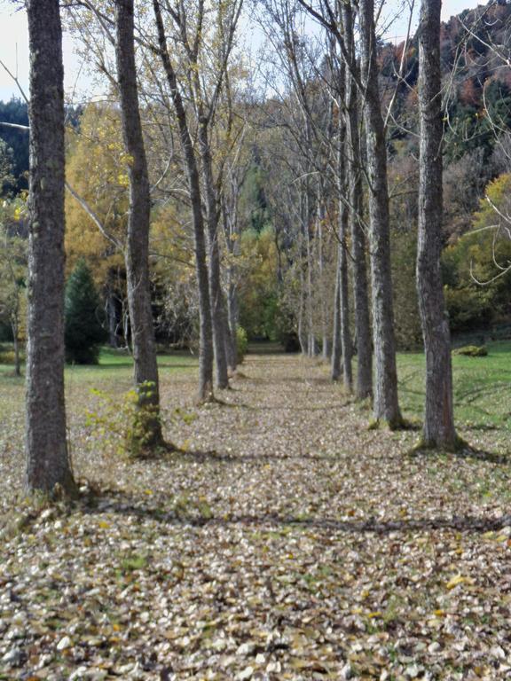 Hotel-Spa & Restaurant Logis Domaine Langmatt Murbach Dış mekan fotoğraf