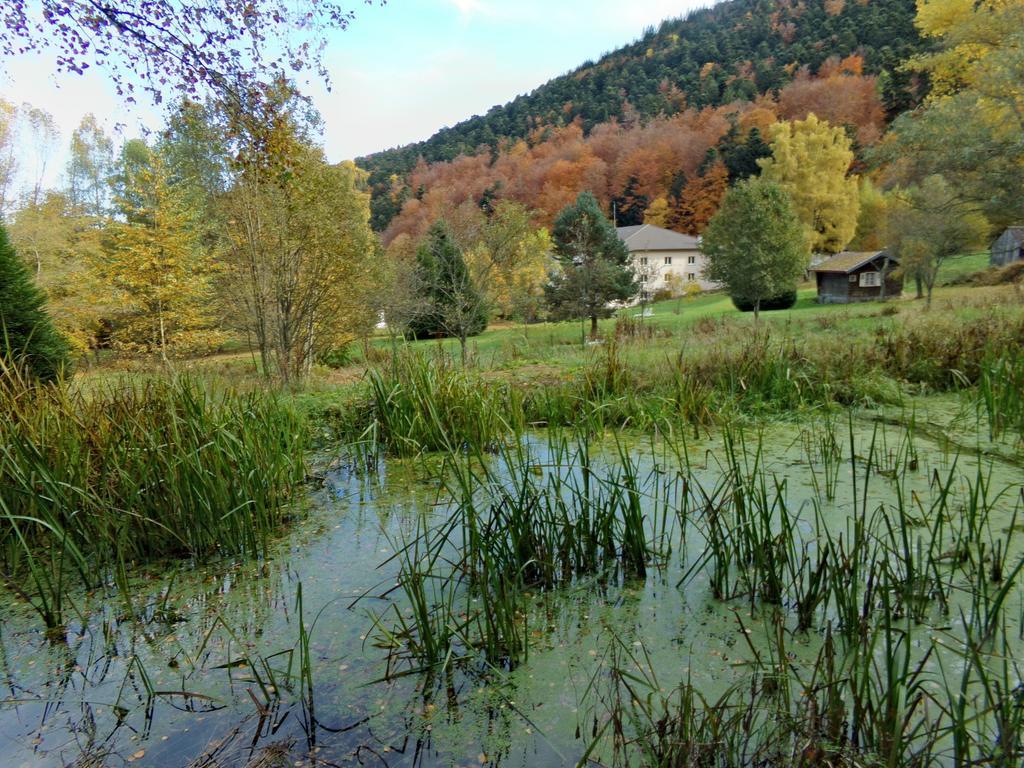 Hotel-Spa & Restaurant Logis Domaine Langmatt Murbach Dış mekan fotoğraf