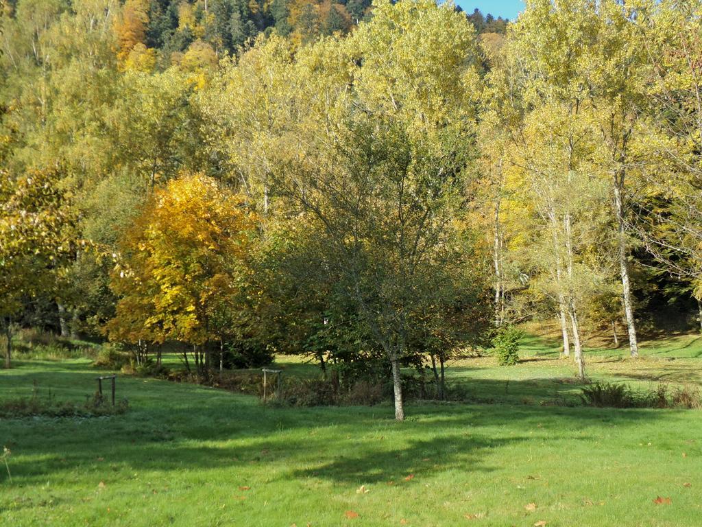 Hotel-Spa & Restaurant Logis Domaine Langmatt Murbach Dış mekan fotoğraf