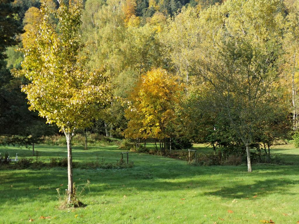 Hotel-Spa & Restaurant Logis Domaine Langmatt Murbach Dış mekan fotoğraf