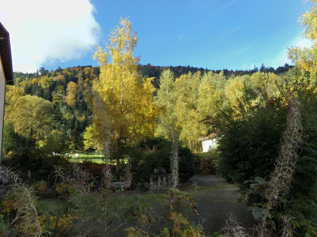 Hotel-Spa & Restaurant Logis Domaine Langmatt Murbach Dış mekan fotoğraf