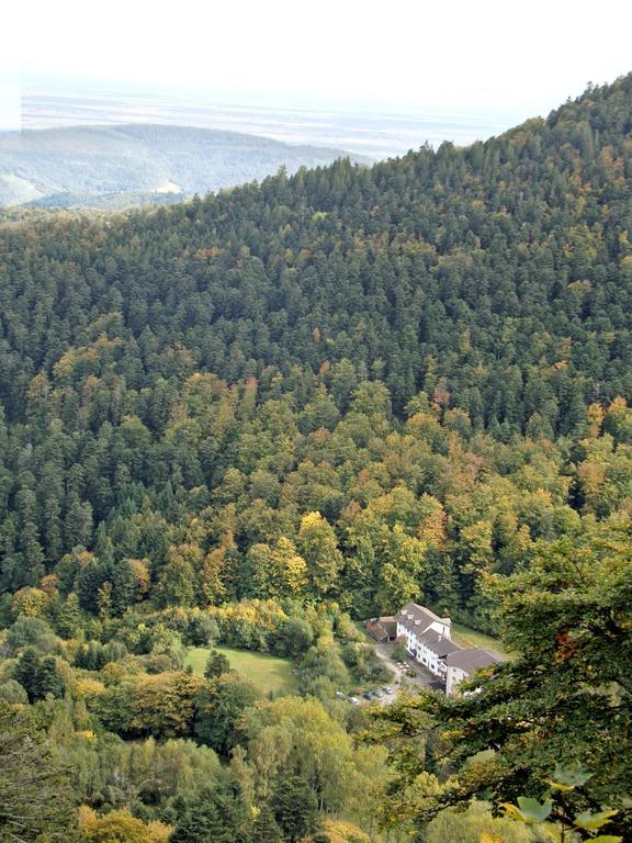 Hotel-Spa & Restaurant Logis Domaine Langmatt Murbach Dış mekan fotoğraf