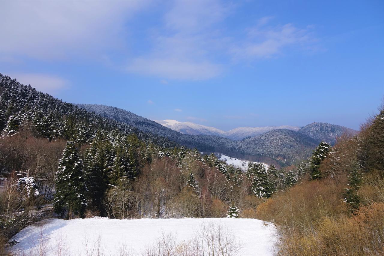 Hotel-Spa & Restaurant Logis Domaine Langmatt Murbach Dış mekan fotoğraf